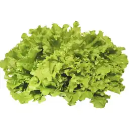 MPreis Gentile Salat MPREIS Angebot