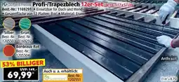 Norma Profi-/Trapezblech Angebot