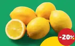 PENNY Zitronen Angebot