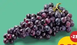 PENNY Trauben Angebot