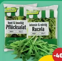 PENNY Pflücksalate Angebot