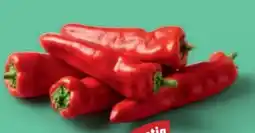PENNY Spitzpaprika rot Angebot