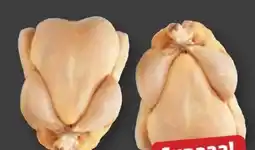 PENNY Federike Huhn Grillfertig Angebot