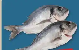 PENNY Goldbrasse Angebot