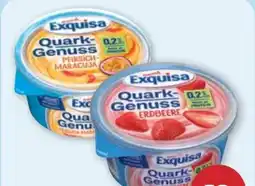 PENNY Exquisa Quark Genuss Angebot