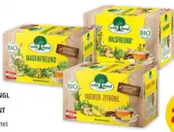 PENNY Willi Dungl Bio-Tee-Sortiment Angebot