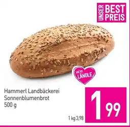 Sutterlüty Hammerl Landbäckerei Sonnenblumenbrot Angebot