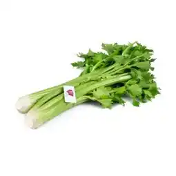 Billa ja!natürlich Bio-Stangensellerie Angebot