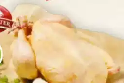 Billa Hofstädter Mehrwohl Hendlfliet Angebot