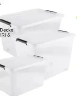 Mömax Box mit Deckel Bruno Angebot