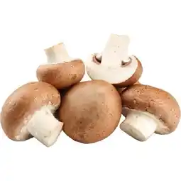 PENNY Champignons Weiss od. Braun Penny Angebot