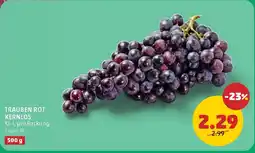 PENNY Trauben rot kernlos Angebot