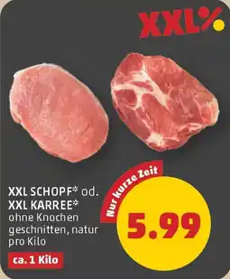PENNY XXL Schopf od. XXL Karree Penny Angebot