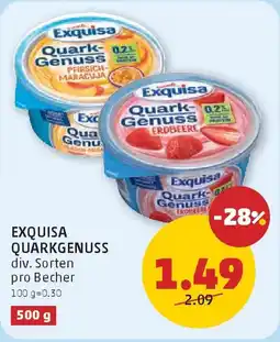 PENNY Exquisa quarkgenuss Angebot
