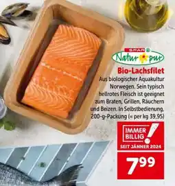 Interspar Bio Lachsfilet Angebot