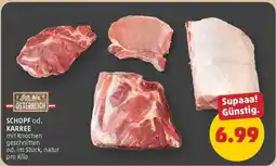 PENNY SCHOPF od. KARREE Angebot