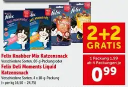 Interspar Felix Knabber Mix Katzensnack oder Felix Deli Moments Liquid Katzensnack Angebot