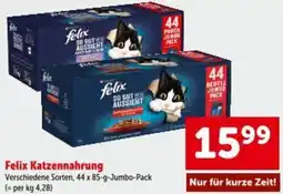 Interspar Felix Katzennahrung Angebot