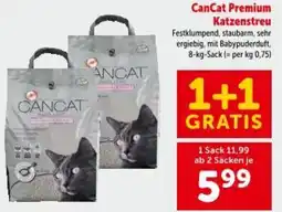 Interspar CanCat Premium Katzenstreu Angebot