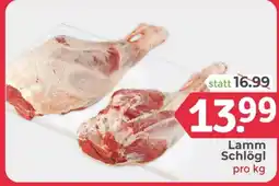 ETSAN Lamm Schlögl Angebot