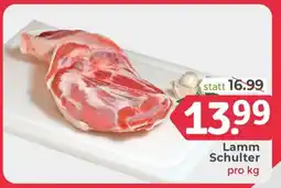 ETSAN Lamm Schulter Angebot