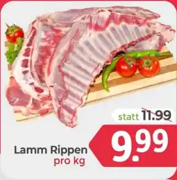 ETSAN Lamm Rippen Angebot