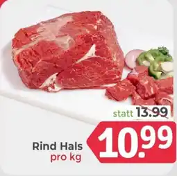 ETSAN Rind Hals Angebot