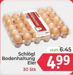 ETSAN Schlögl Bodenhaltung Eier Angebot