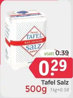 ETSAN Tafel Salz Angebot