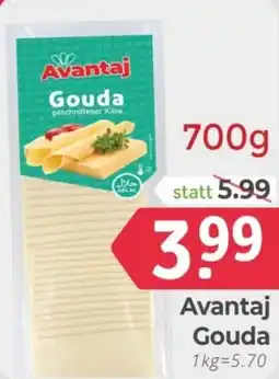 ETSAN Avantaj Gouda Angebot