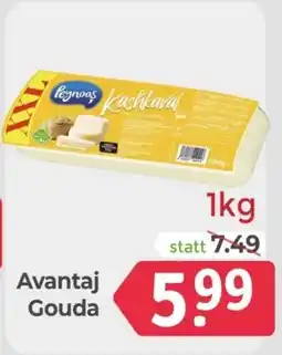 ETSAN Avantaj Gouda Angebot