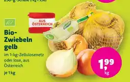 Denn's Biomarkt Bio- Zwiebeln gelb Angebot