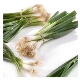 SPAR Gourmet würziger Jungzwiebel SPAR Gourmet Angebot