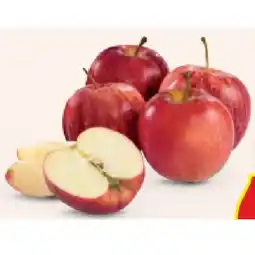 Hofer BIO-Äpfel aus Österreich HOFER Angebot