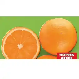 Hofer Gourmet Orangen HOFER Angebot