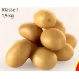 Hofer Bio-Premium Erdäpfel aus Österreich HOFER Angebot