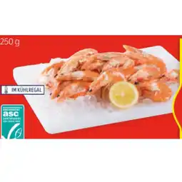 Hofer Crevettes Roses HOFER Angebot