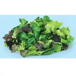 Hofer Pflücksalat versch. Sorten HOFER Angebot