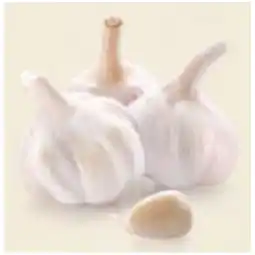 Hofer Knoblauch HOFER Angebot