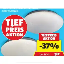 Hofer Deckenleuchte Basic HOFER Angebot