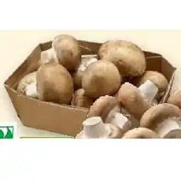 Denn's Biomarkt Bio-Champignons Denns BioMarkt Angebot