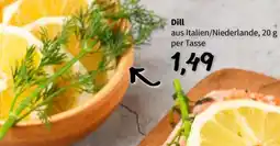Der Grissemann Dill Angebot