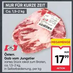 Maximarkt Österr. Gab vom Jungstier Angebot