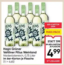 Maximarkt Hagn Grüner Veltliner Filius Weinland Angebot