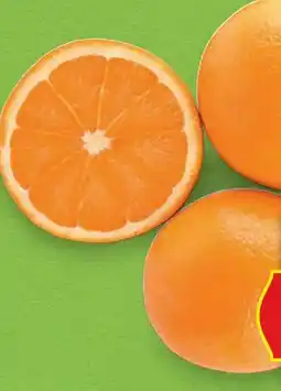 Hofer Hofer Marktplatz Orangen Angebot