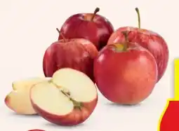 Hofer Zurück zum Ursprung Bio-Äpfel Angebot