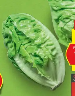 Hofer Hofer Marktplatz Bio-Salatherzen Angebot