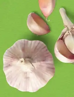 Hofer Hofer Marktplatz Knoblauch Angebot