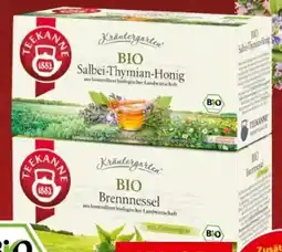 Interspar Teekanne Bio Kräutergarten Angebot