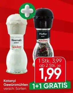 Spar Kotányi Gewürzmühlen Angebot